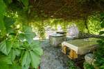 Kuca, Punat, prodaja, 2500000 €, 500 m2