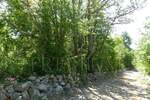 Zemljiste, Krk, prodaja, 170000 €, 6600 m2