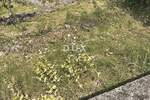 Zemljiste, Bakar, Hreljin, prodaja, 69000 €, 753 m2