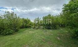 Zemljiste, Čavle, Cernik, prodaja, 399000 €, 8292 m2