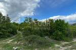 Zemljiste, Čavle, Cernik, prodaja, 399000 €, 8292 m2