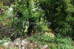 Zemljiste, Bakar, Kukuljanovo, prodaja, 135000 €, 994 m2