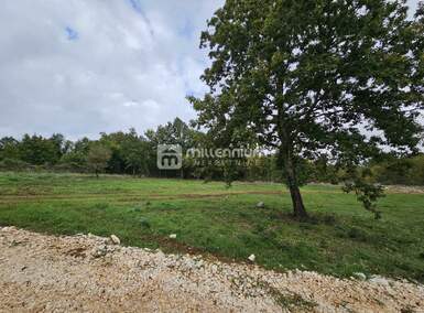 Zemljiste, Barban, Rojnići, prodaja, 54600 €, 910 m2