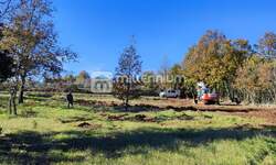 Zemljiste, Barban, Rojnići, prodaja, 38600 €, 772 m2