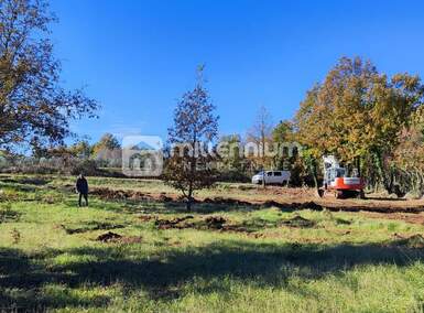 Zemljiste, Barban, Rojnići, prodaja, 38600 €, 772 m2