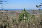 Zemljiste, Buje, Baredine, prodaja, 235000 €, 1000 m2