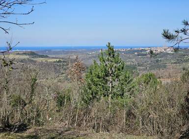 Zemljiste, Buje, Baredine, prodaja, 235000 €, 1000 m2