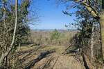 Zemljiste, Buje, Baredine, prodaja, 235000 €, 1000 m2
