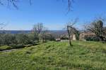 Zemljiste, Buje, Baredine, prodaja, 235000 €, 1000 m2