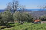 Zemljiste, Buje, Baredine, prodaja, 235000 €, 1000 m2