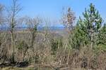 Zemljiste, Buje, Baredine, prodaja, 235000 €, 1000 m2