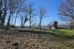 Zemljiste, Buje, Baredine, prodaja, 235000 €, 1000 m2