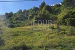Zemljiste, Mrkopalj, prodaja, 159000 €, 8430 m2
