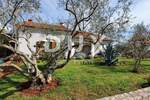 Kuca, Umag, Čepljani, prodaja, 1 €, 258 m2