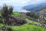 Zemljiste, Labin, Rabac, prodaja, 466080 €, 2913 m2
