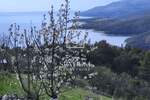 Zemljiste, Labin, Rabac, prodaja, 466080 €, 2913 m2