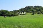 Kuca, Pazin, Stari Pazin, prodaja, 329400 €, 172 m2