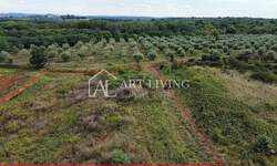 Zemljiste, Umag, prodaja, 78000 €, 2600 m2
