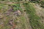 Zemljiste, Umag, prodaja, 78000 €, 2600 m2