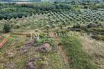 Zemljiste, Umag, prodaja, 78000 €, 2600 m2