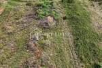 Zemljiste, Umag, prodaja, 78000 €, 2600 m2
