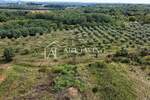 Zemljiste, Umag, prodaja, 78000 €, 2600 m2