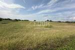 Zemljiste, Tar-Vabriga, Tar, prodaja, 1220640 €, 5086 m2