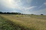 Zemljiste, Tar-Vabriga, Tar, prodaja, 1220640 €, 5086 m2