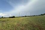 Zemljiste, Tar-Vabriga, Tar, prodaja, 1220640 €, 5086 m2