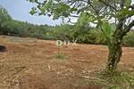 Zemljiste, Barban, prodaja, 156000 €, 5379 m2