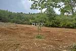 Zemljiste, Barban, prodaja, 156000 €, 5379 m2
