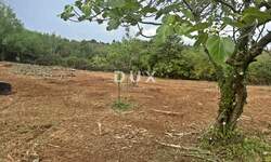 Zemljiste, Barban, prodaja, 42000 €, 990 m2