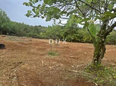 Zemljiste, Barban, prodaja, 42000 €, 990 m2