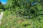 Zemljiste, Buzet, Roč, prodaja, 6445 €, 1289 m2
