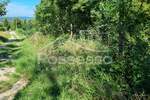 Zemljiste, Buzet, Roč, prodaja, 6445 €, 1289 m2