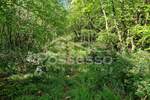 Zemljiste, Buzet, Roč, prodaja, 6445 €, 1289 m2