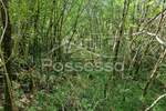 Zemljiste, Buzet, Roč, prodaja, 6445 €, 1289 m2