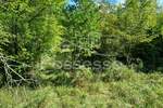 Zemljiste, Buzet, Roč, prodaja, 6445 €, 1289 m2