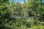 Zemljiste, Buzet, Roč, prodaja, 6445 €, 1289 m2