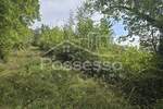 Zemljiste, Buzet, Roč, prodaja, 33000 €, 1792 m2