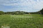 Zemljiste, Buzet, prodaja, 9501 €, 3167 m2