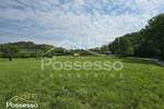 Zemljiste, Buzet, prodaja, 9501 €, 3167 m2