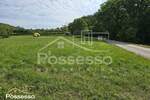 Zemljiste, Buzet, prodaja, 9501 €, 3167 m2