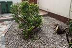 Jednosoban stan, Crikvenica, prodaja, 166000 €, 37 m2