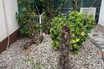 Jednosoban stan, Crikvenica, prodaja, 166000 €, 37 m2