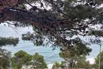 Kuca, Omiš, Lokva Rogoznica, najam, 1200 €, 100 m2