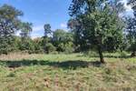 Zemljiste, Pula, prodaja, 100000 €, 0 m2