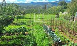 Zemljiste, Matulji, Brešca, prodaja, 133120 €, 694 m2