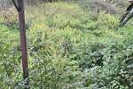 Kuca, Ogulin, Popovo Selo, prodaja, 45000 €, 48 m2