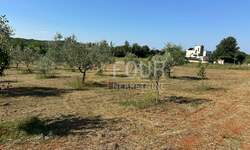 Zemljiste, Poreč, prodaja, 593000 €, 5716 m2